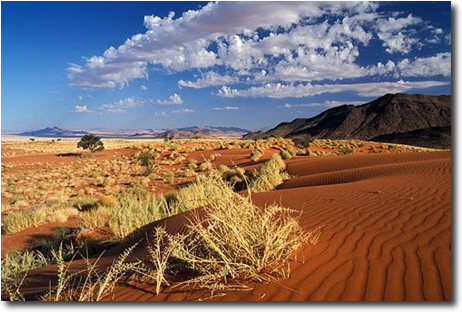 Namibian dune scene